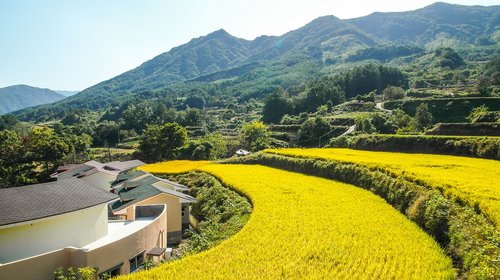 rural landscape  power landscape  yellow light