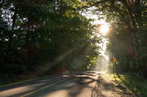 rural road sunbeams crepuscular rays