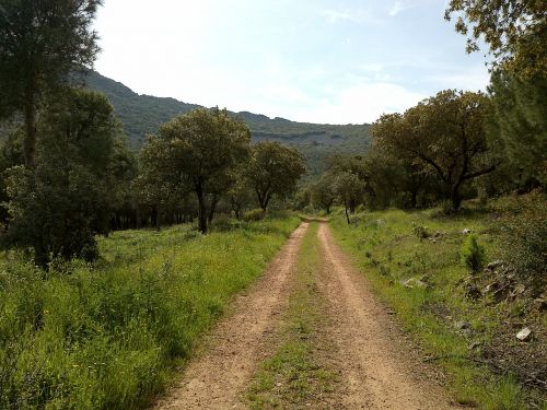 rural road walking path