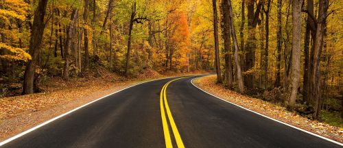 rural road autumn fall
