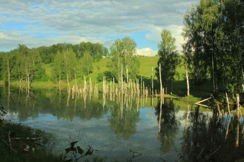 russia swamp nature