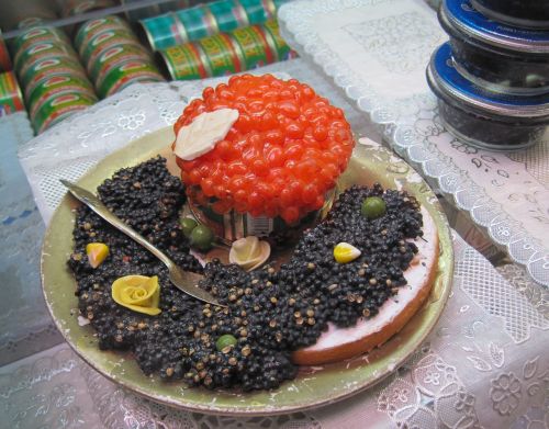 russia caviar eggs