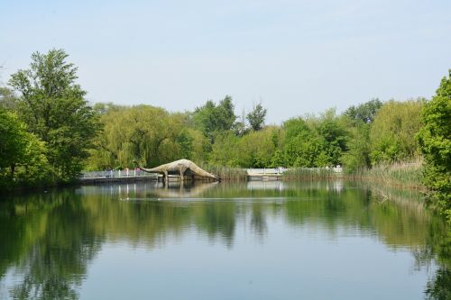 russia zoo dinosaur