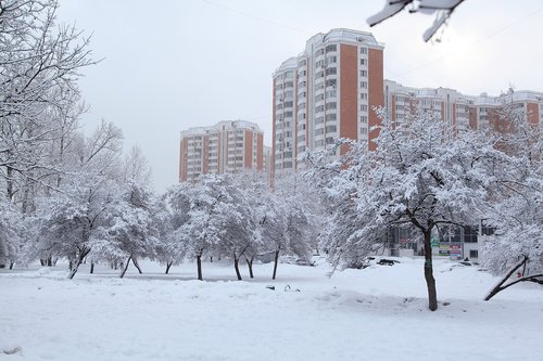 russian winter  white snow  snow covered trees