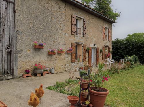 rustic france chickens