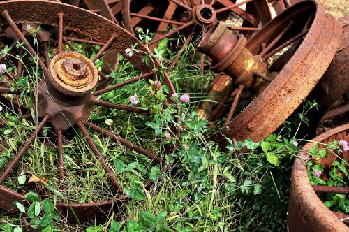 rusty wheels clover