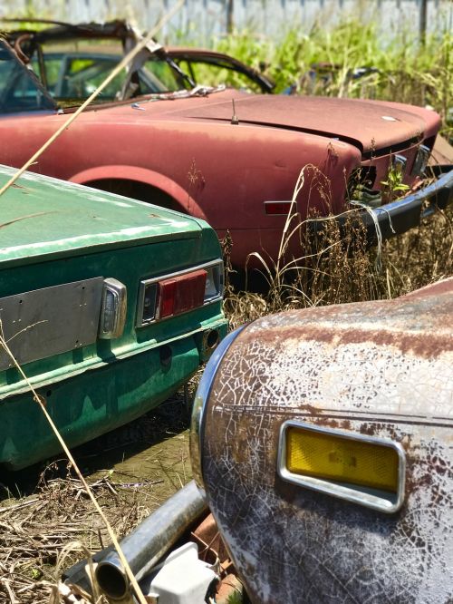 rusty relics old cars junkyard