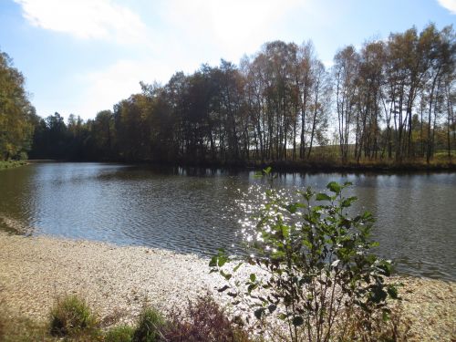 Pond In Autumn