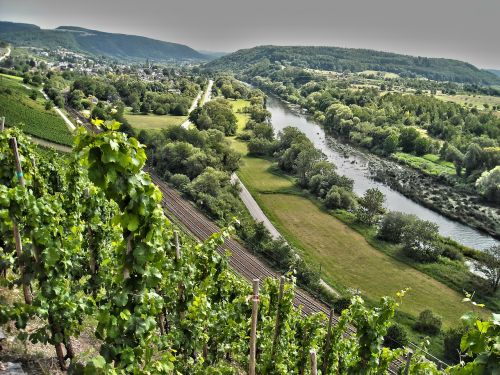 saar landscape river