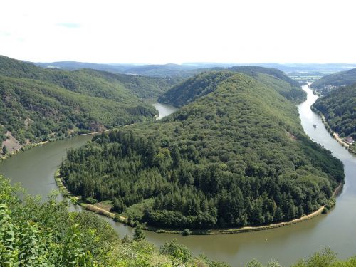 saarland forest nature