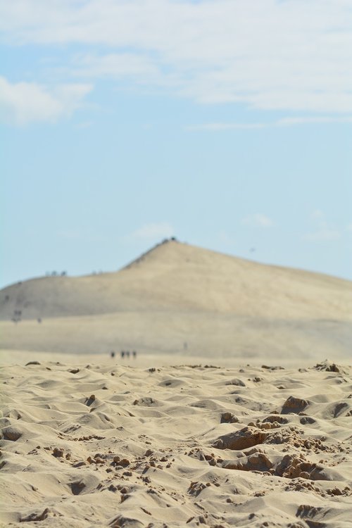 sable  plage  dune