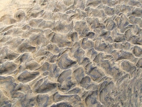 Sea Sand