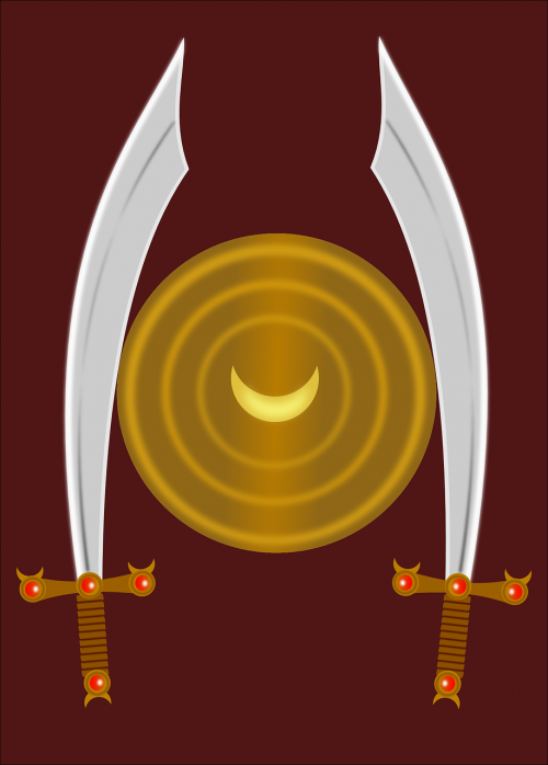 sabres shield sword
