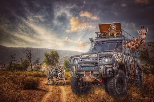 safari  jeep  savannah