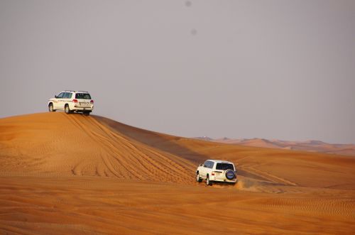 safari dune desert