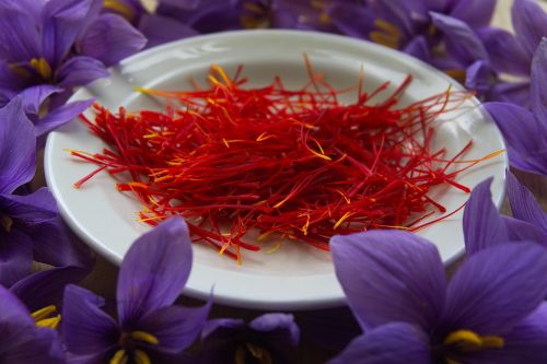 saffron spice pistils