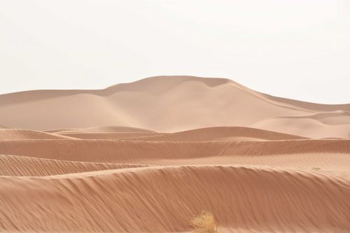 sahara wide landscape