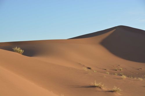 sahara sand dune