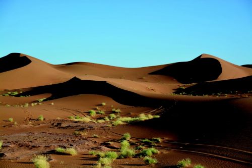 sahara sunrise dunes
