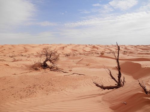 sahara desert tunisia