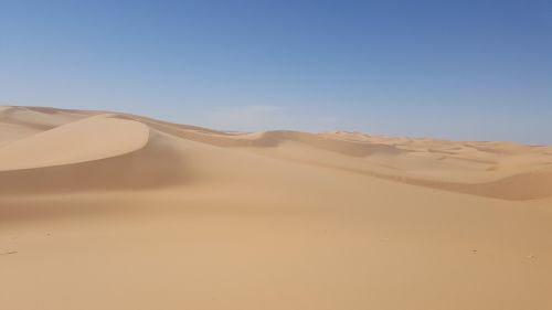 sahara africa desert