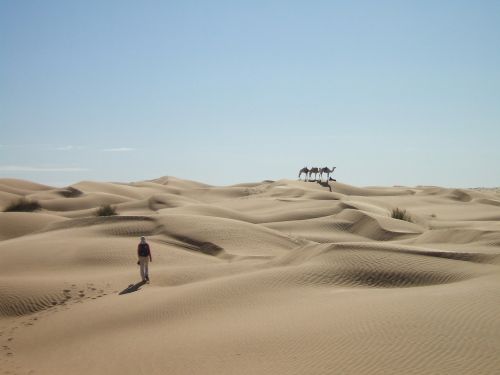 sahara desert sand