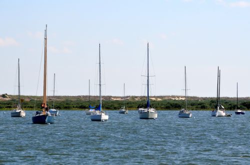 Sailboats Moored On The River