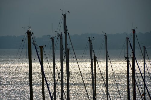 sail sea sailing vessel