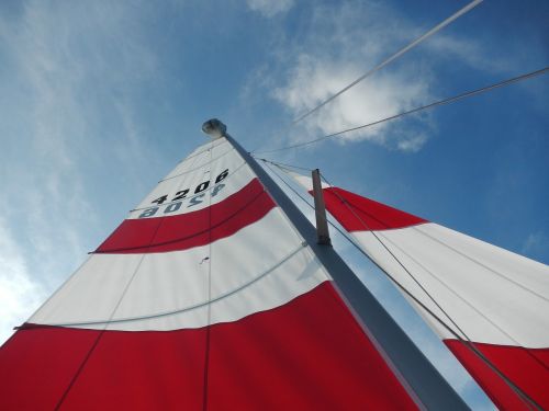 sail red marine