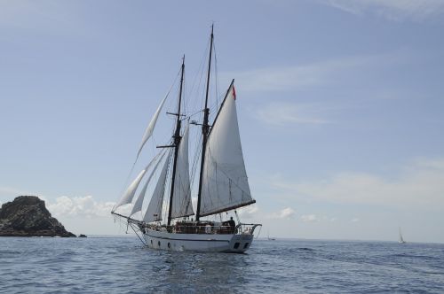 sail traditional sailer sailing vessel