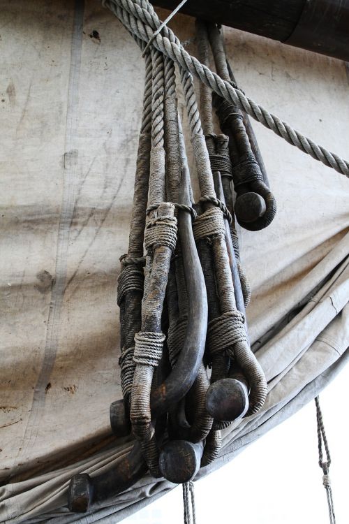 sail ropes knot