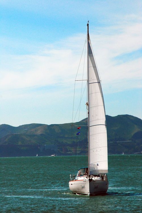 sail sail boat nautical