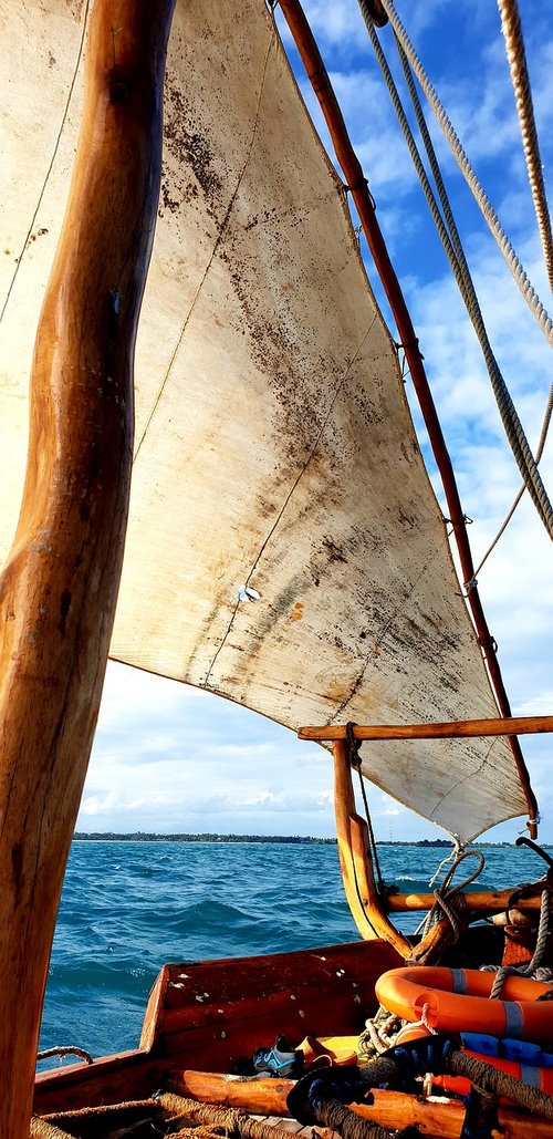 sail  dhow  water