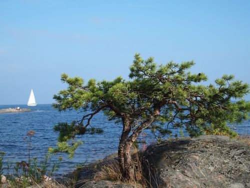 sail archipelago sweden