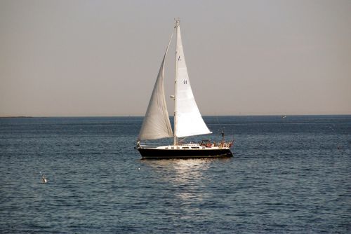 sailboat maine new england