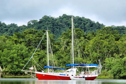 sailboat river rainforest