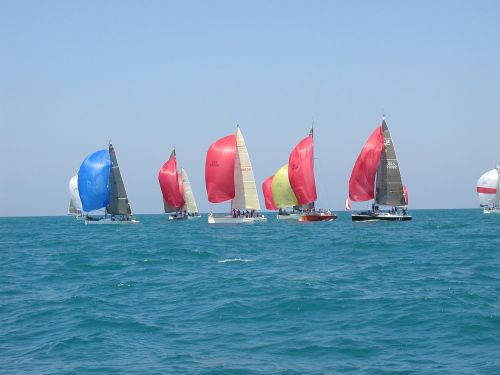 sailboats sailing spinnaker