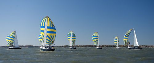 sailboats race competition