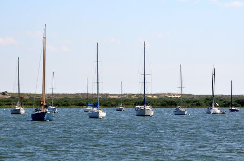 sailboats moored river