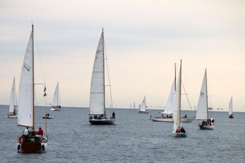 sailboats sea boats