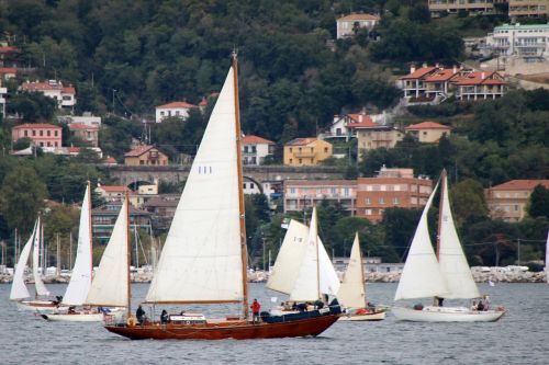 sailboats sea boats