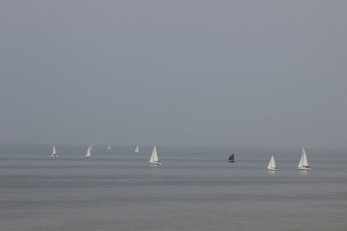 sailboats boats sea