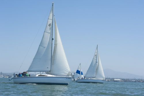 sailboats sailing water