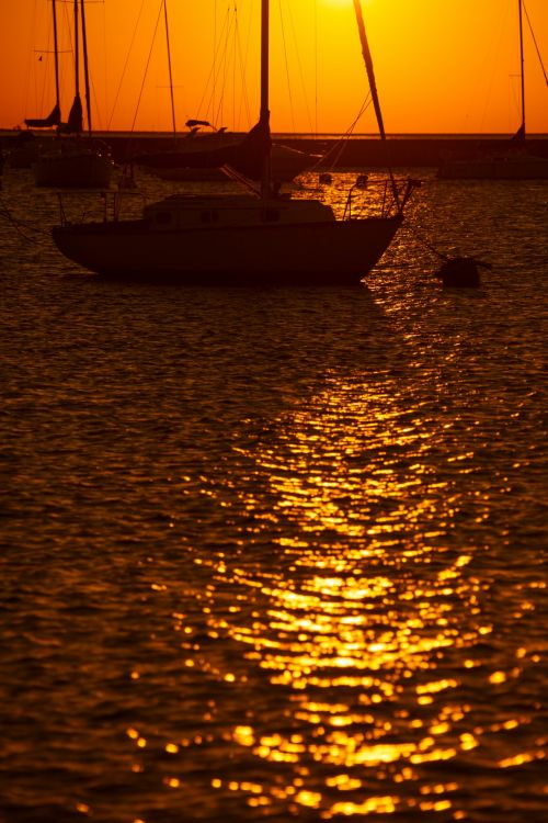 Sailboats At Sunrise