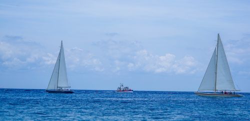 sailing sail boats sea