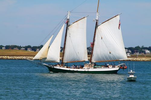 sailing schooner boston harbor
