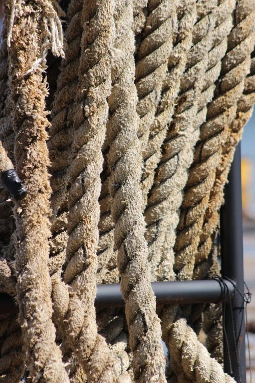 sailing rope sailor
