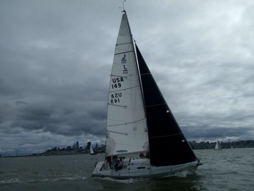 sailing alcatraz race