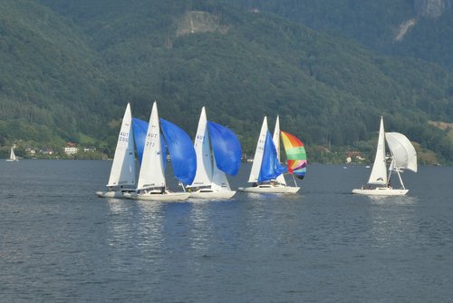 sailing  contest  traunsee