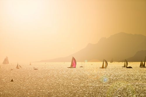 sailing boats sea